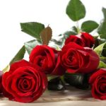 Kedustaan Dalam Pacaran